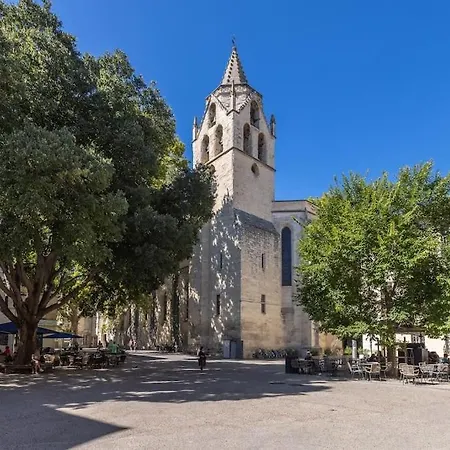 La Terrasse Du Saint-Didier Avignon Extérieur photo